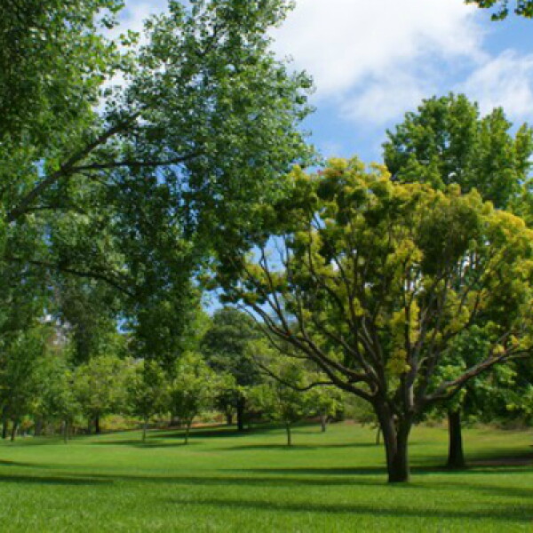 San Diego County parks department earns national recognition