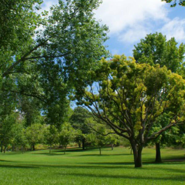San Diego County parks department earns national recognition