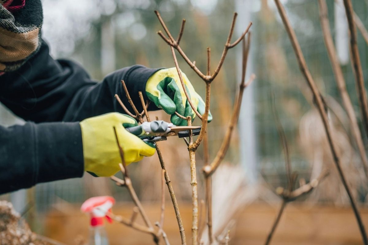 6 simple steps to safeguard your backyard ahead of winter