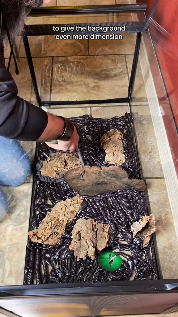 Building a custom snake enclosure!