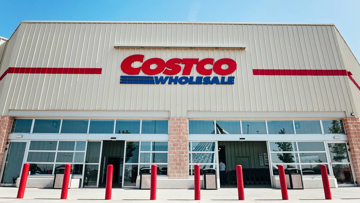 Discover Costco's $20 Jimothy raccoon dog toy with hidden squeakers and ...