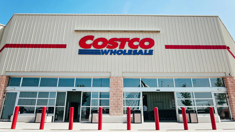 Discover Costco's $20 Jimothy raccoon dog toy with hidden squeakers and ...