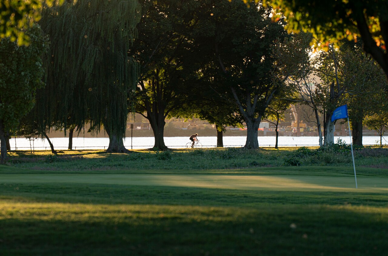 Judge halts tree removal, imposes new limits on Trump's golf project