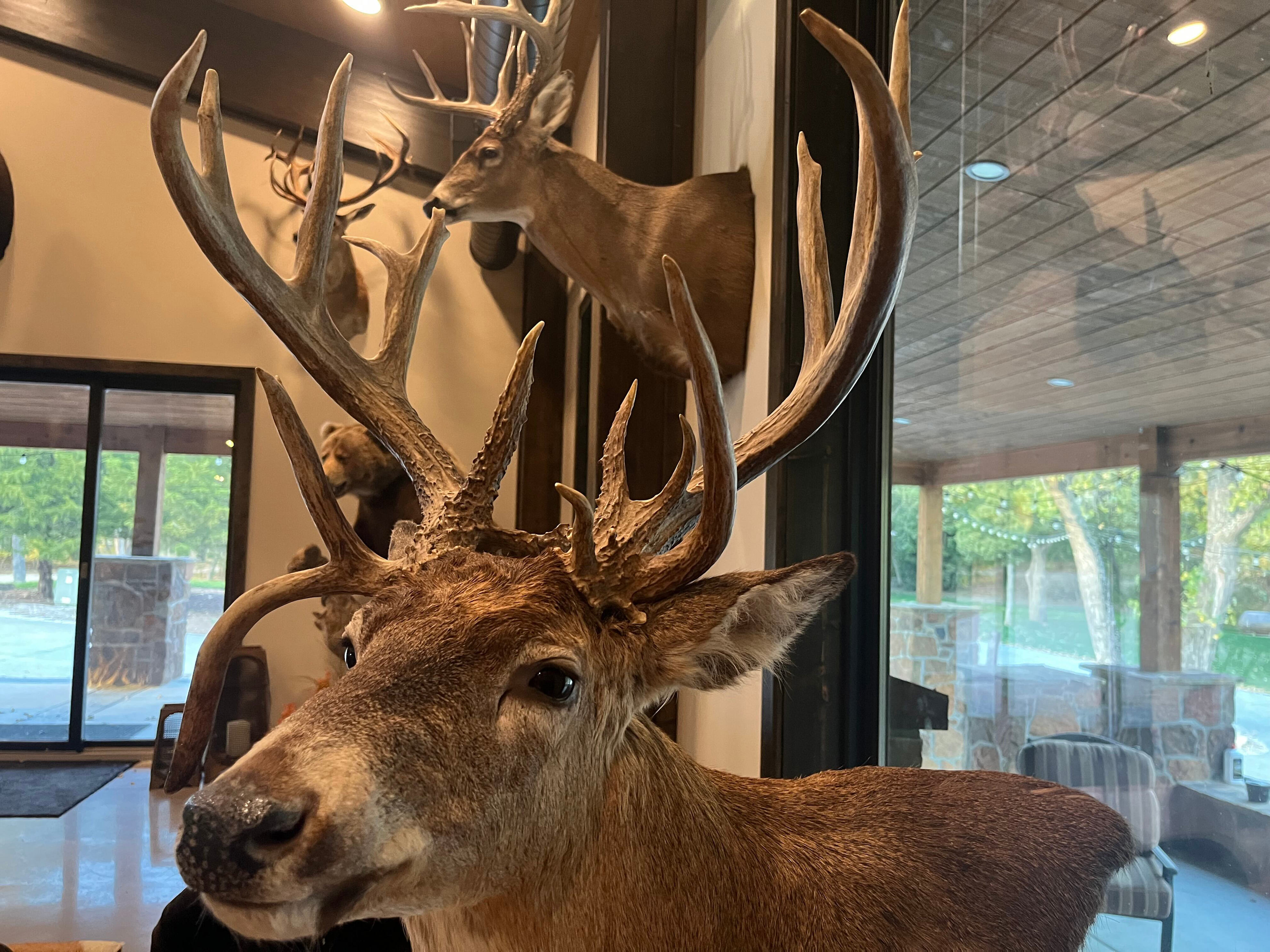 Health precautions to know when hunting this season