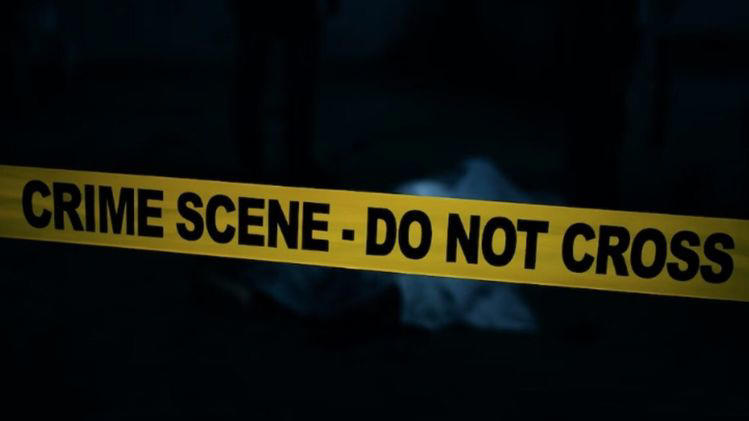 Arunachal man kills brother-in-law, critically injures another in Assam