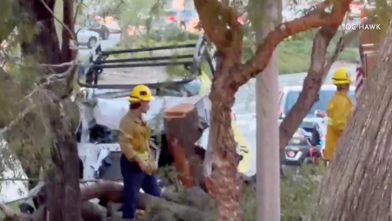 Man killed in violent single-vehicle collision into tree in Anaheim