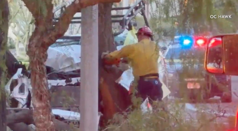 Man killed in violent single-vehicle collision into tree in Anaheim