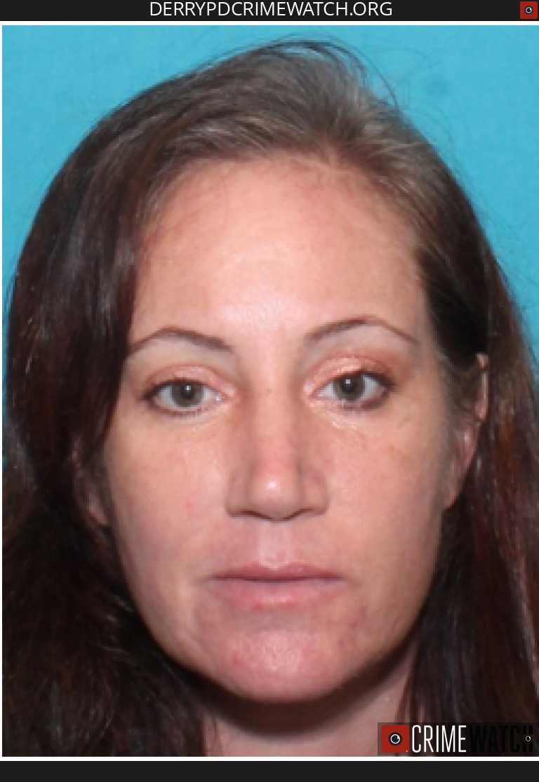 Police seek help finding missing Derry Township woman