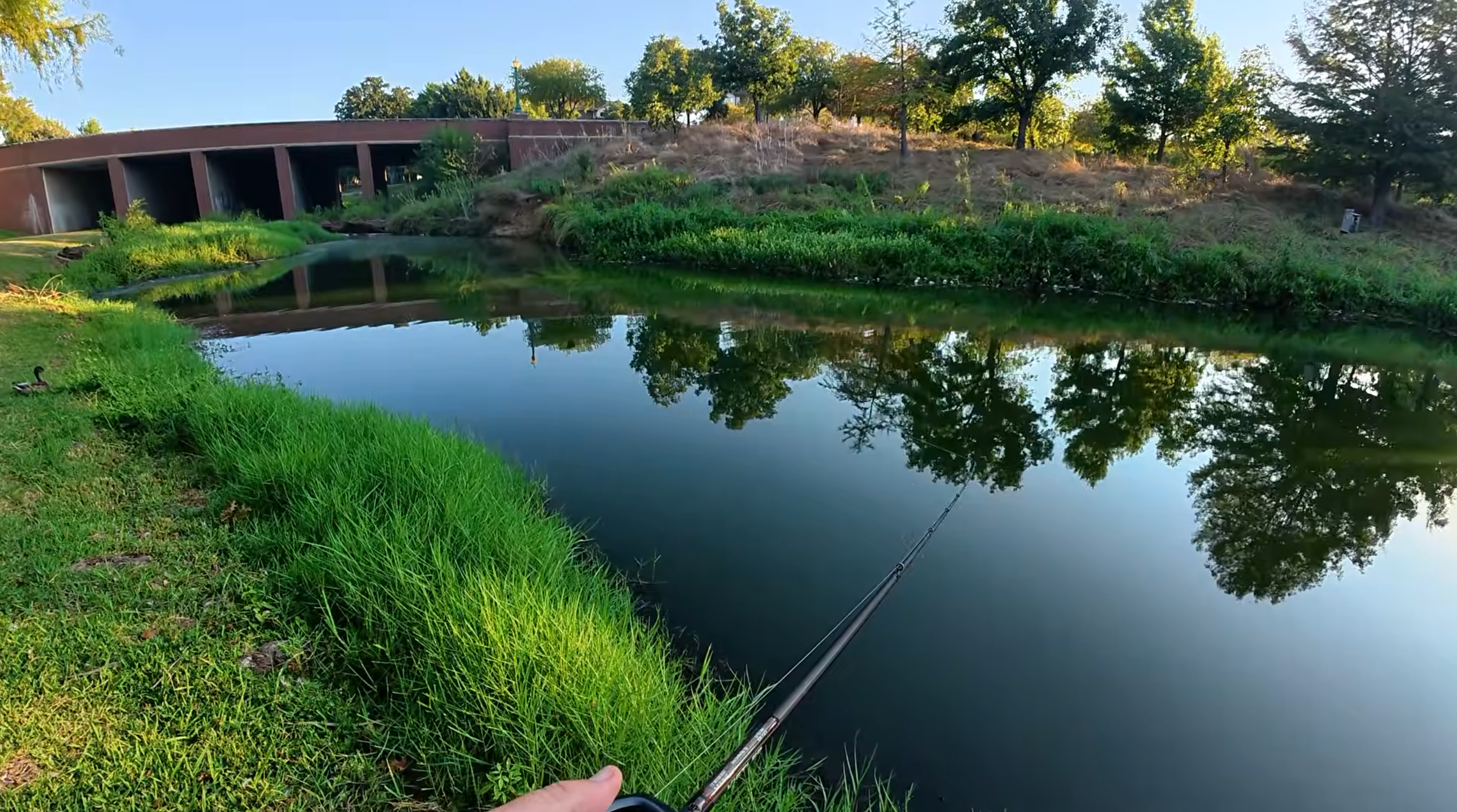 Fishing for a 10-pound bass at a popular pond