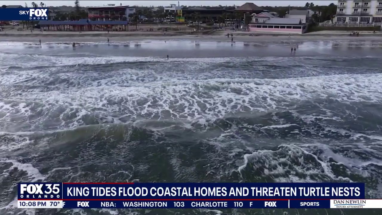 King tide threatens turtle nests in Florida