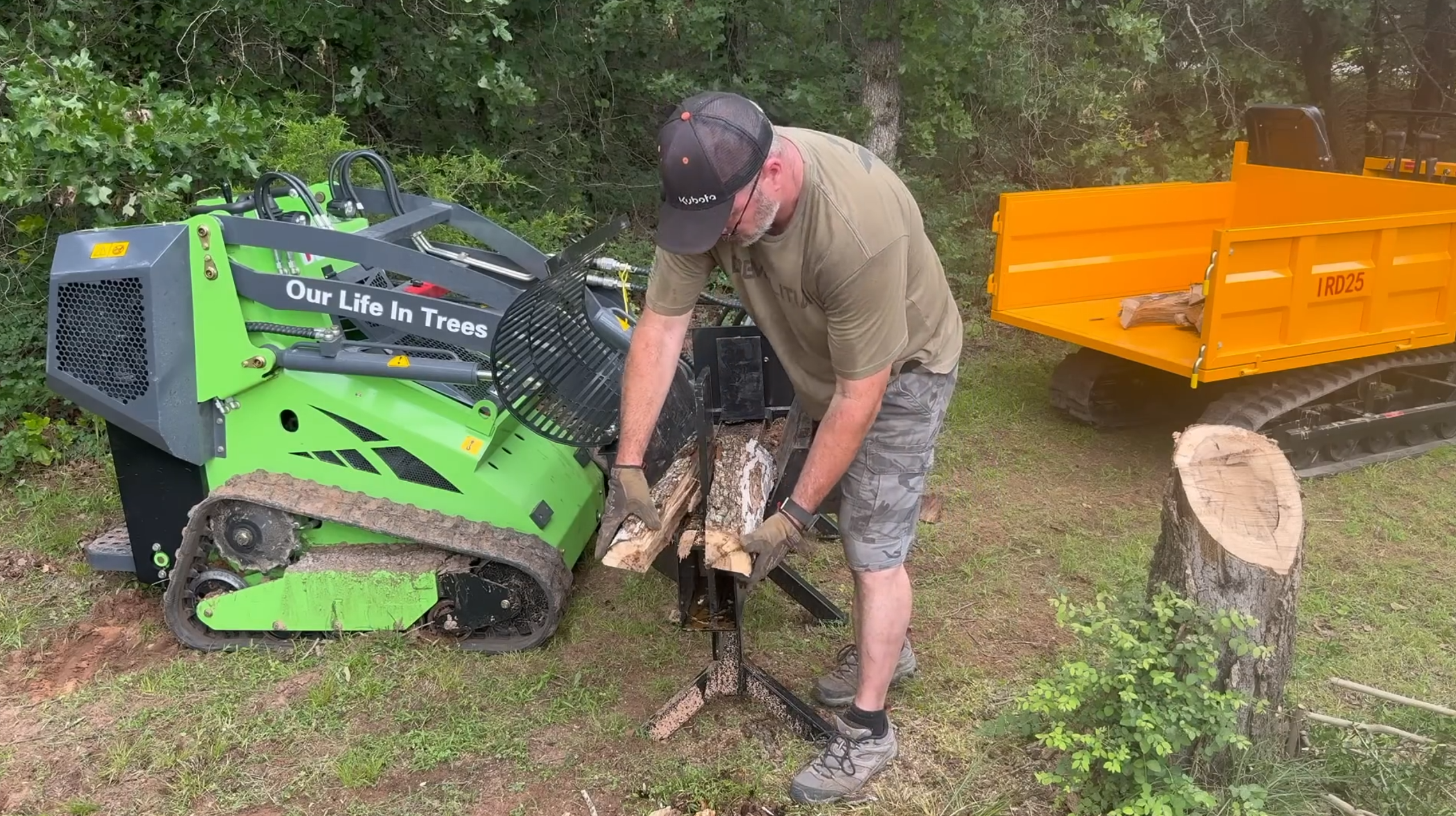 Using compact equipment to remove a tree