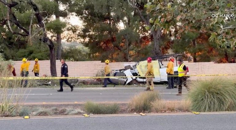 Man killed in violent single-vehicle collision into tree in Anaheim
