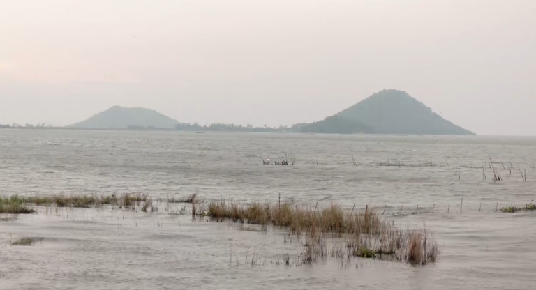 Odisha braces for Cyclone Arnab, boat services halted in Chilika till ...