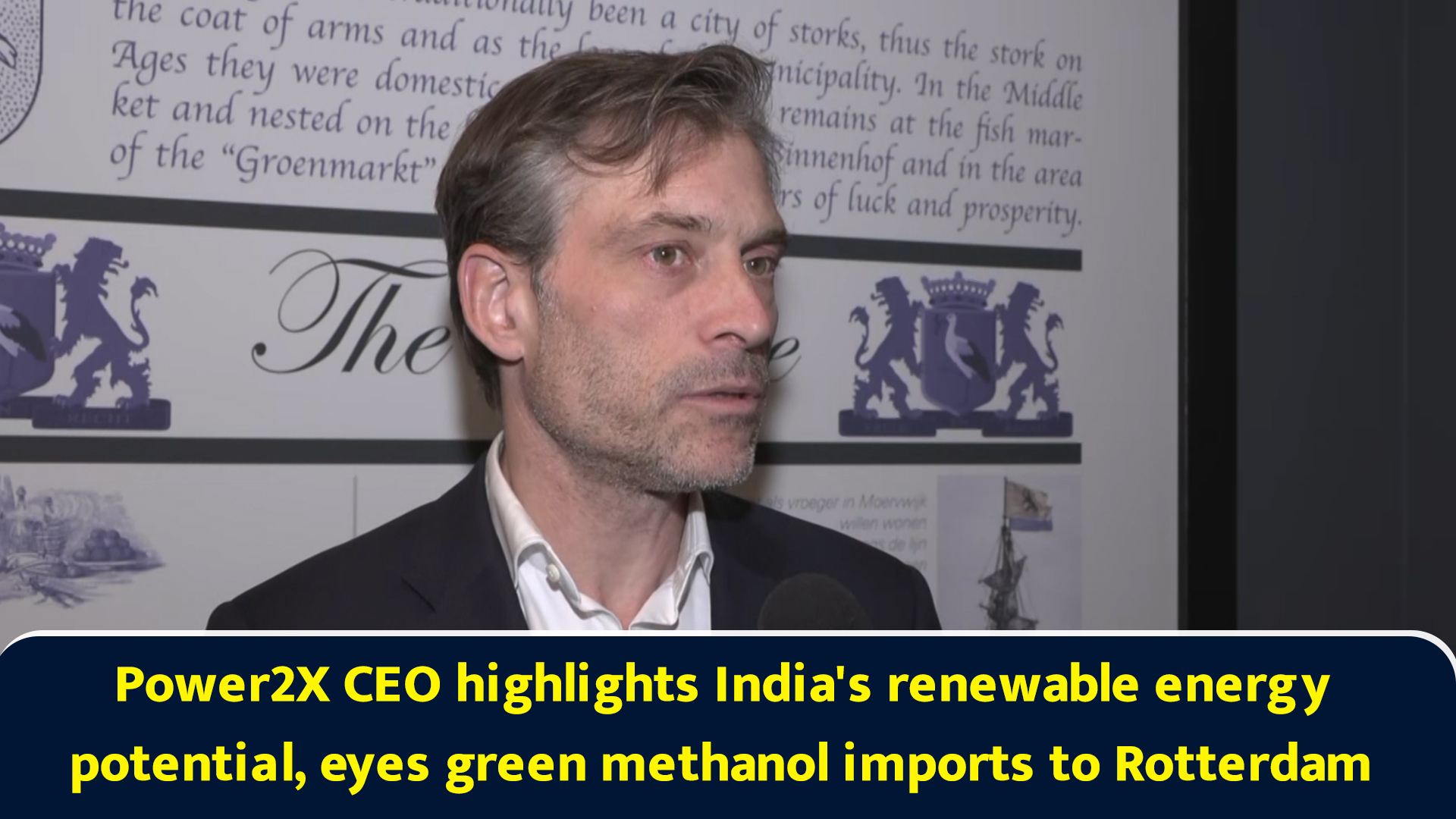 Power2X CEO highlights India's renewable energy potential, eyes green ...