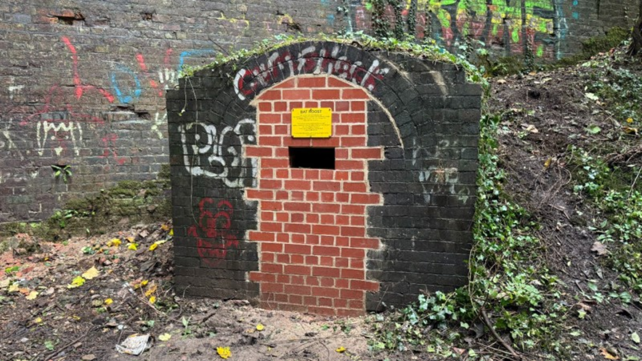 Britain turns 200-year-old railway hut into bat shelter; winter check ...