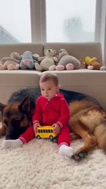 Big dog calms down crying baby