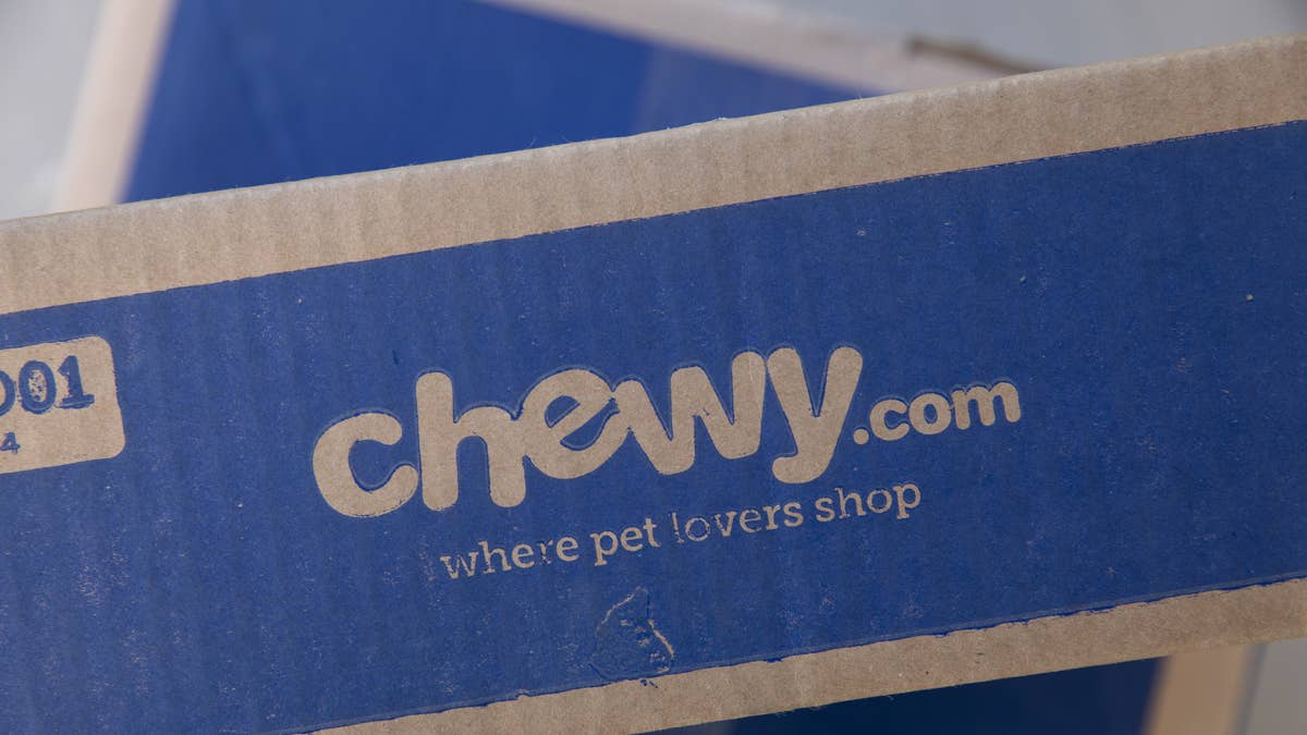Chewy’s $40 heated double cat bowl helps keep food and water from ...