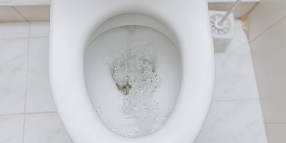 What the color of your stool can reveal about your liver and gut health