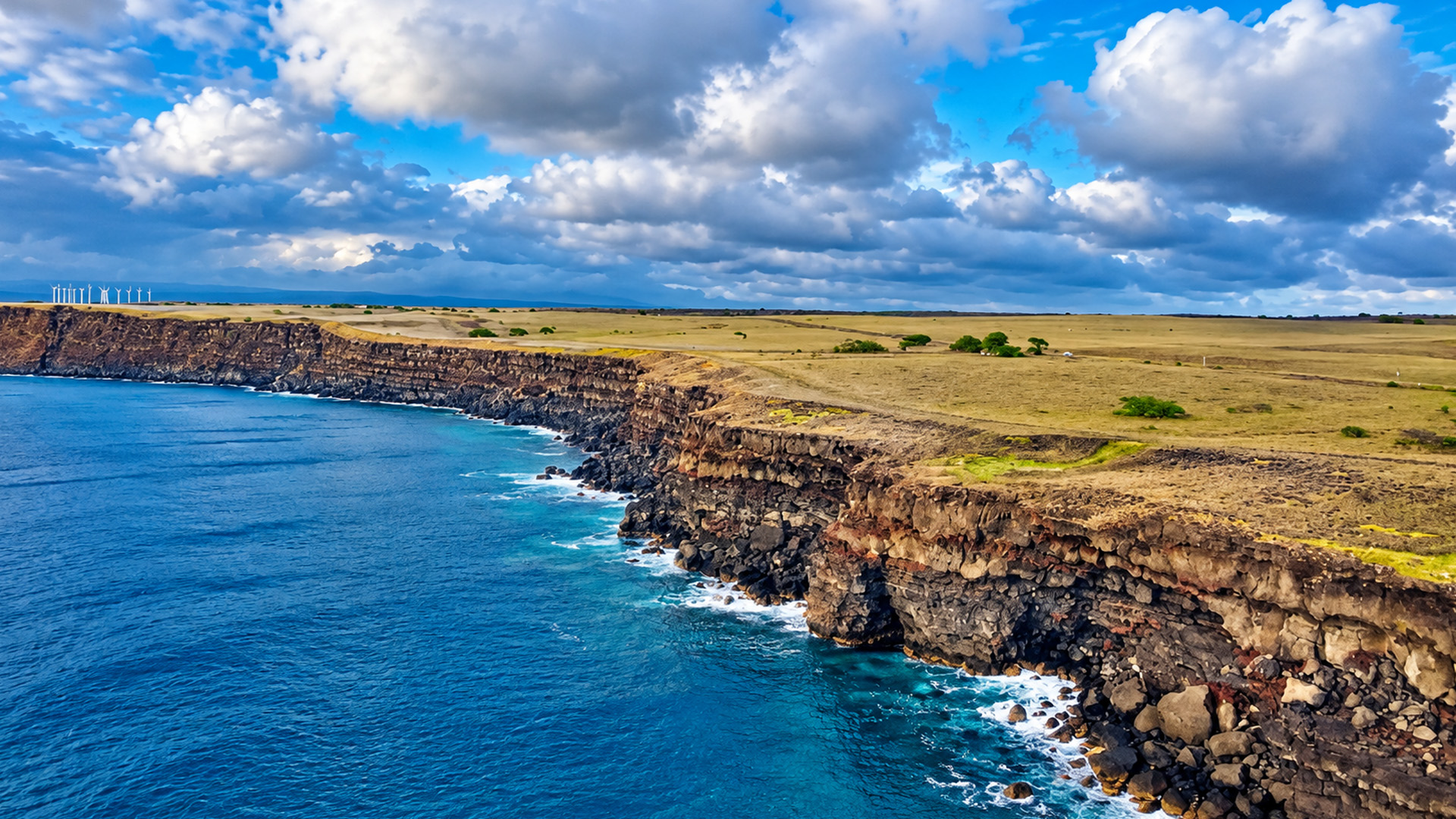 Ancient lava formed these massive Hawaiian sea cliffs