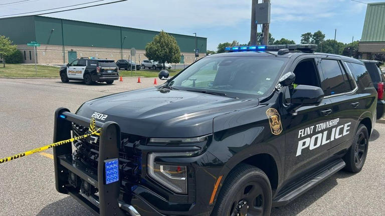 Flint Twp. police shoplifting task force blitz results in 15 arrests