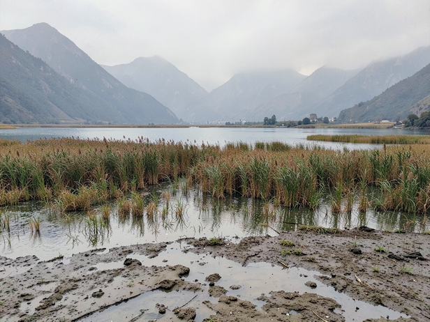Wular and Hokersar: How siltation is shrinking Kashmir's freshwater ...