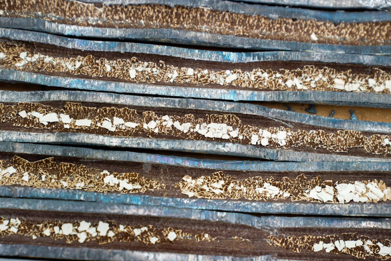 National Lead Poisoning Prevention Week highlights risks to young children