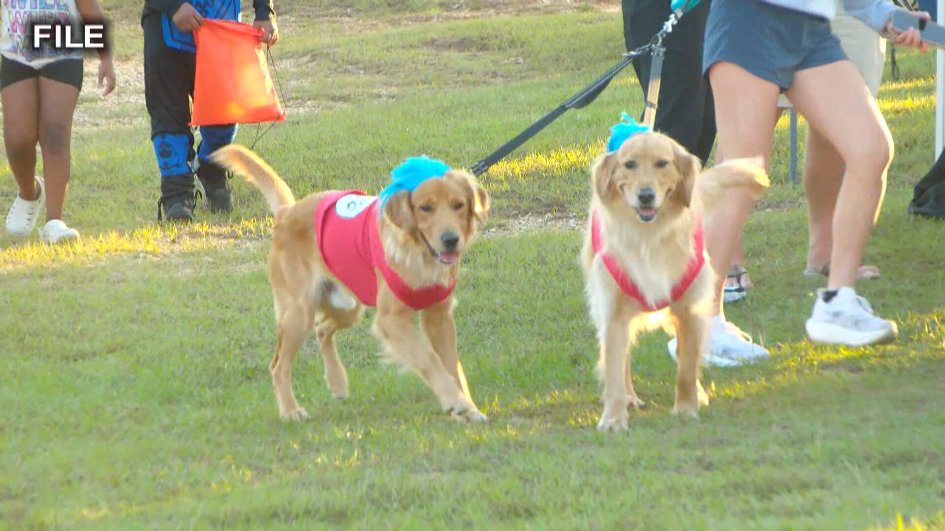 Hub City Humane Society hosts 'Tricks for Treats on the Trace'