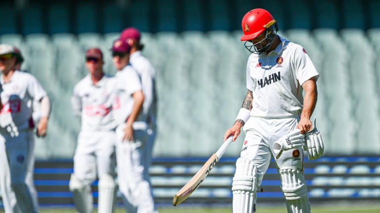Absorb the pressure: Harris urges SA to step up