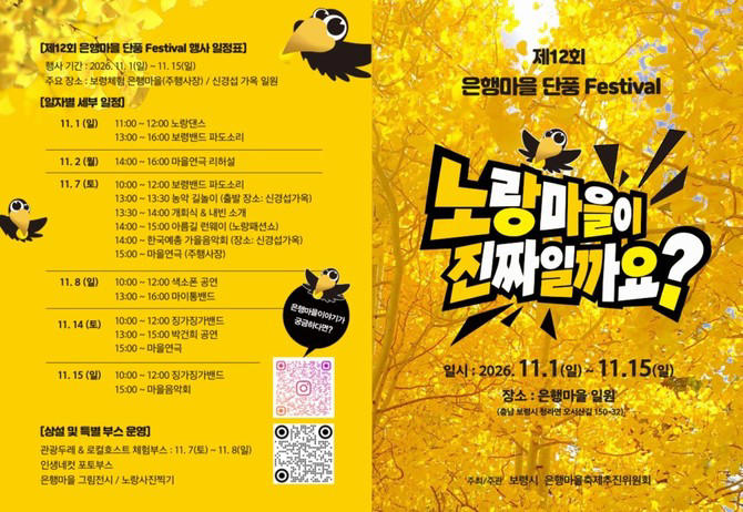 보령 은행마을 단풍축제 11월1일 개막…15일까지 노란 가을 만끽