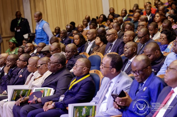 La RDC mise sur les marchés carbones pour affirmer son leadership ...