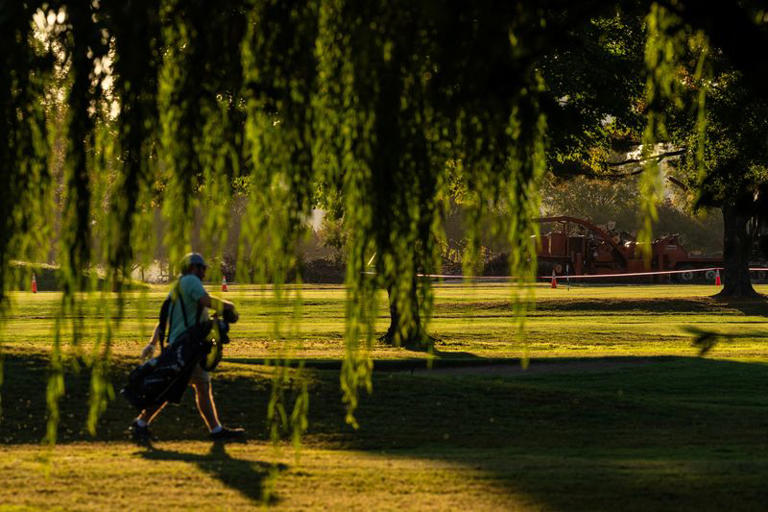 A golfer walks near felled trees after the US President Donald Trump's administration cut down more than 400 trees at historic East Potomac Golf Links, in Washington, DC, US, October 26, 2026. REUTERS/Eric Lee
