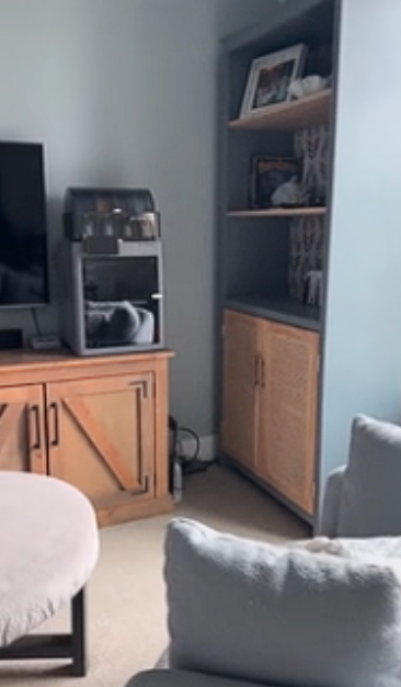 I Finished Tessa’s Bookshelves A Cozy & Aesthetic Transformation