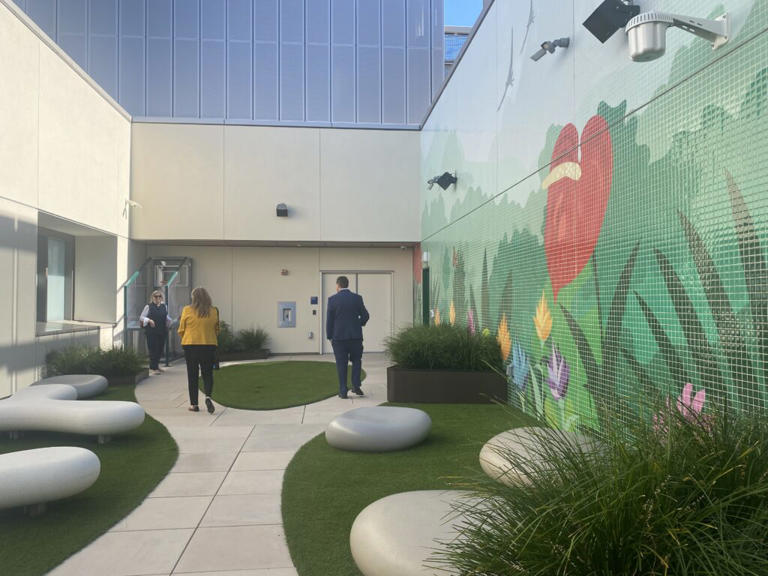 Santa Clara County opens long overdue youth psychiatric hospital