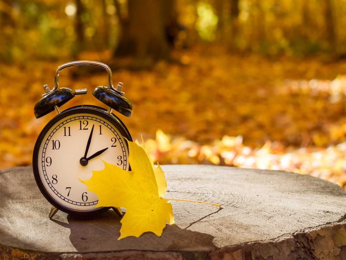 Daylight saving time is coming to parts of Canada: How to fix your ...