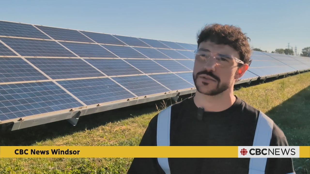 It's the largest solar farm in Windsor-Essex — did you know it was there?
