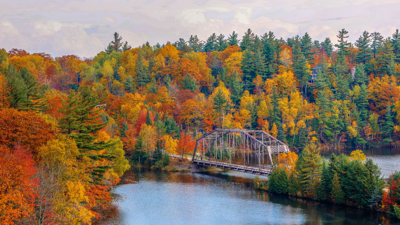 The wildly unexpected state with America's best fall foliage is a vibrant Midwest haven