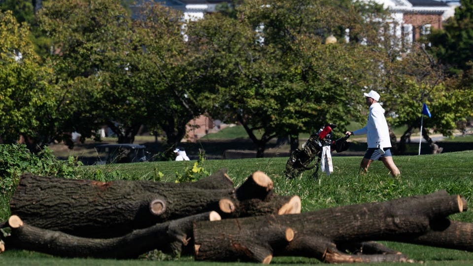 Trump Vows To Proceed With D.C. Golf Course Renovation Shortly After Judge's Blocks Tree Removal