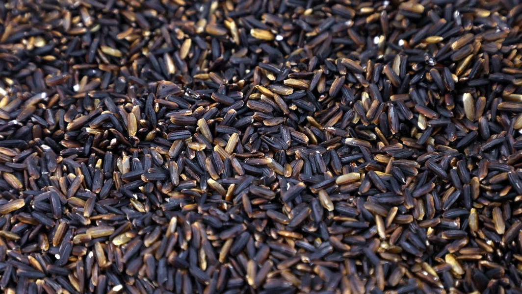 Discover the power of black rice
