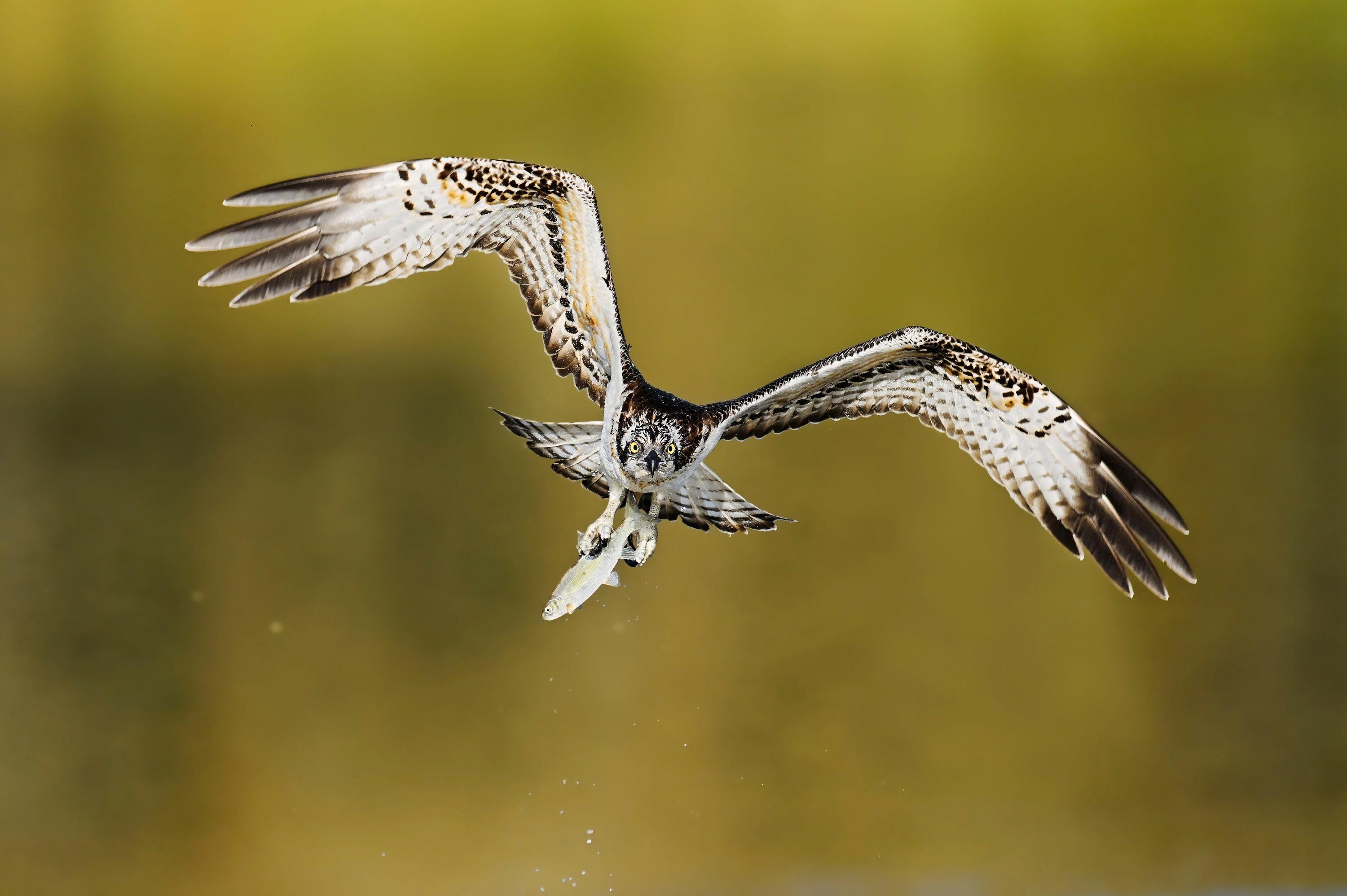 Naturfotografie: NRW – ein Land zum Staunen