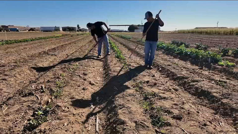 Coalinga College internship program gives students hands-on experience ...