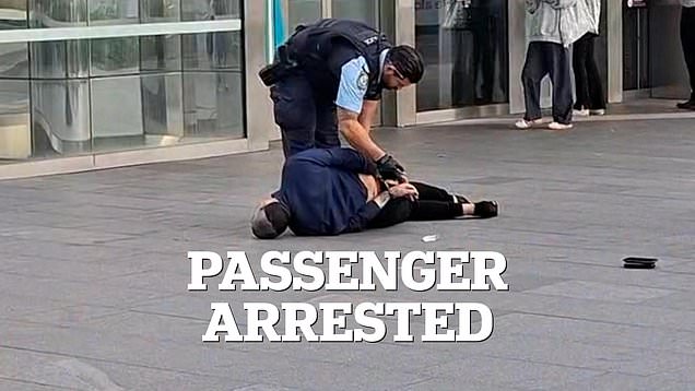 Train passenger arrested, accused of trying to steal handbag