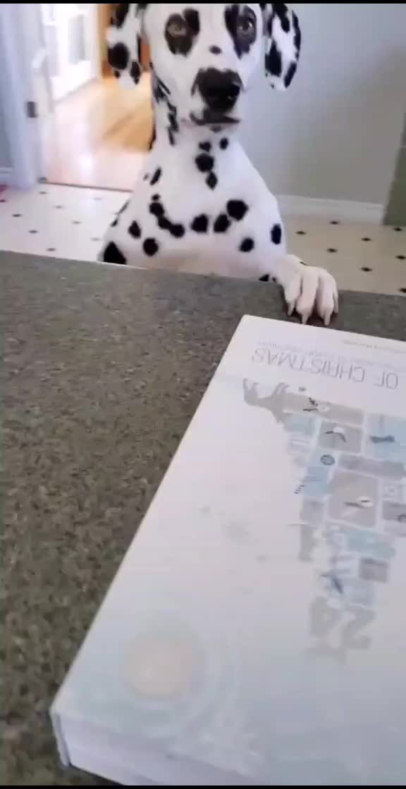 A heartwarming moment of love and connection