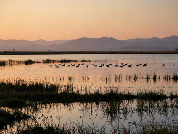 Wular and Hokersar: How siltation is shrinking Kashmir's freshwater ...