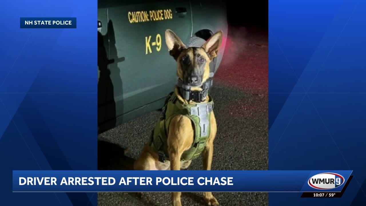Hampton man led police on multi-town chase, apprehended by K-9