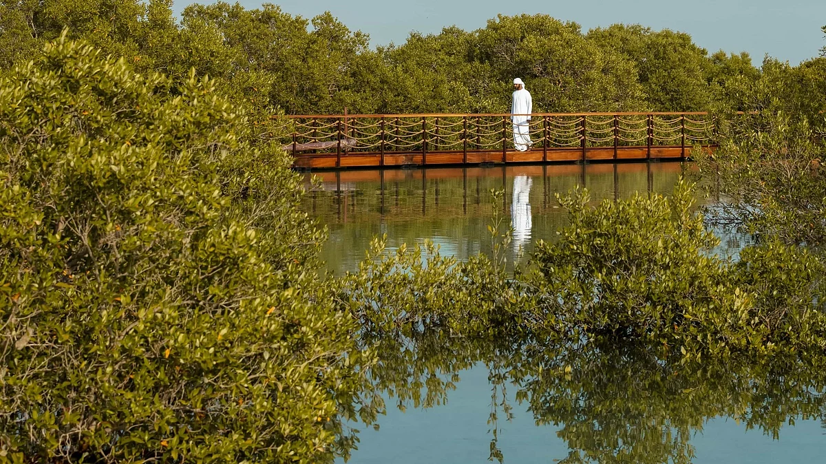 Abu Dhabi exceeds environmental targets by 22%; restores coral reefs ...