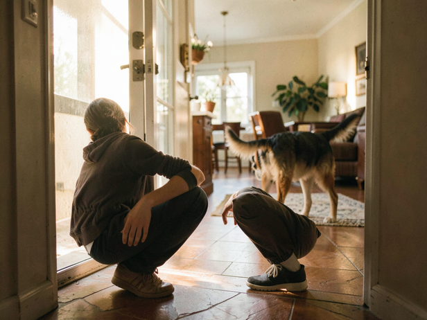 Dog pees when you say hello? What submissive urination actually means