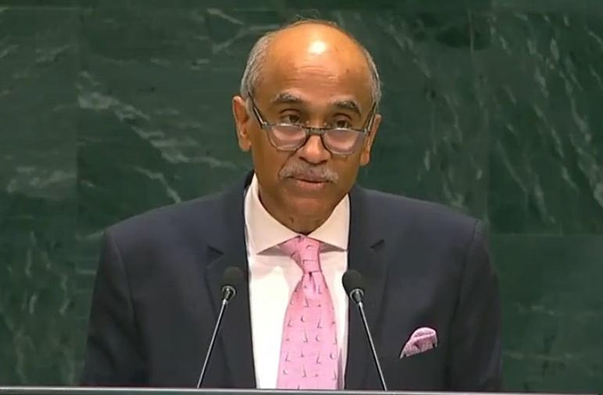 India says new UNSC permanent members without veto would be second ...