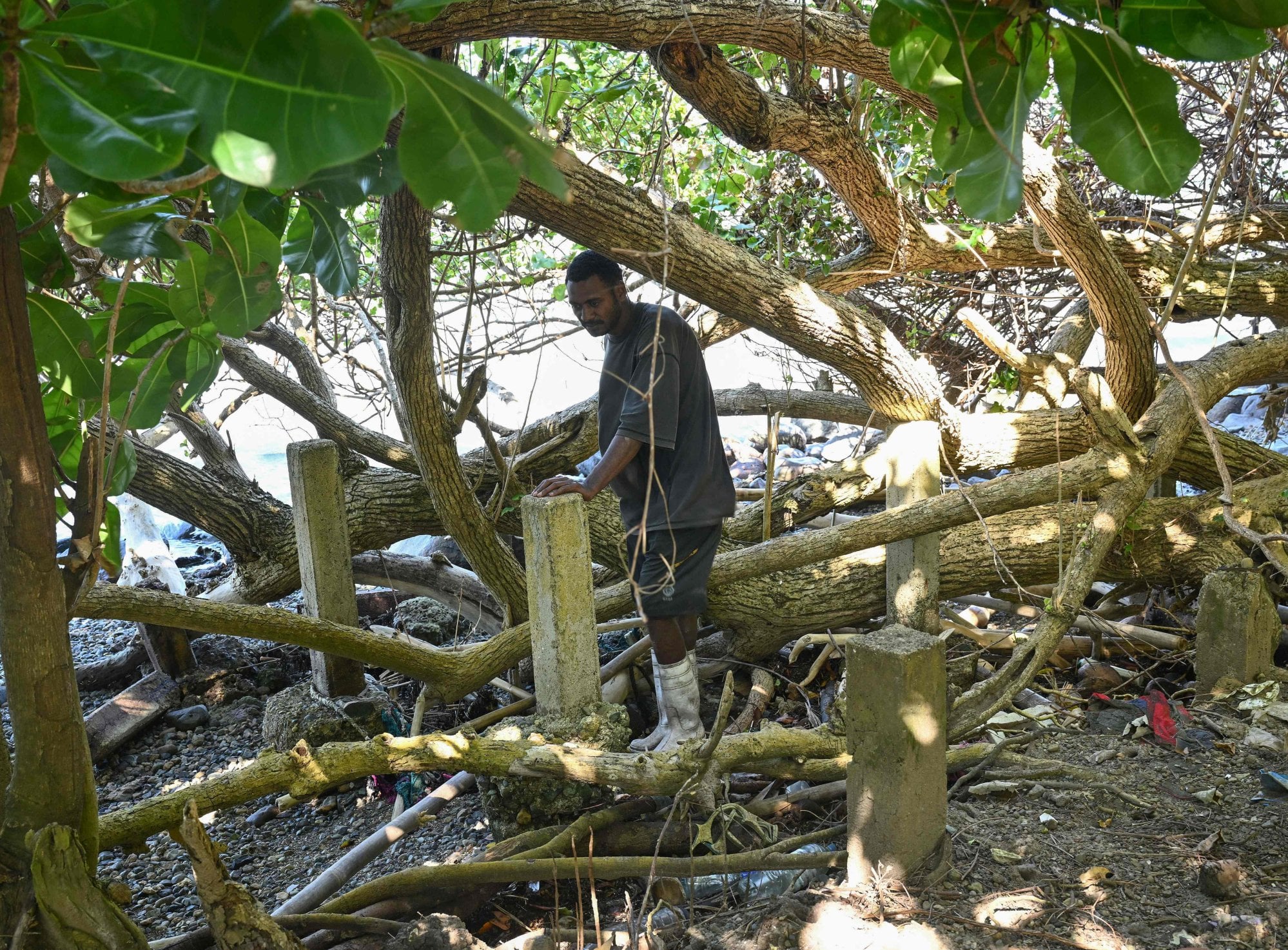 Fiji islanders brave rising seas to protect their US$100 million views