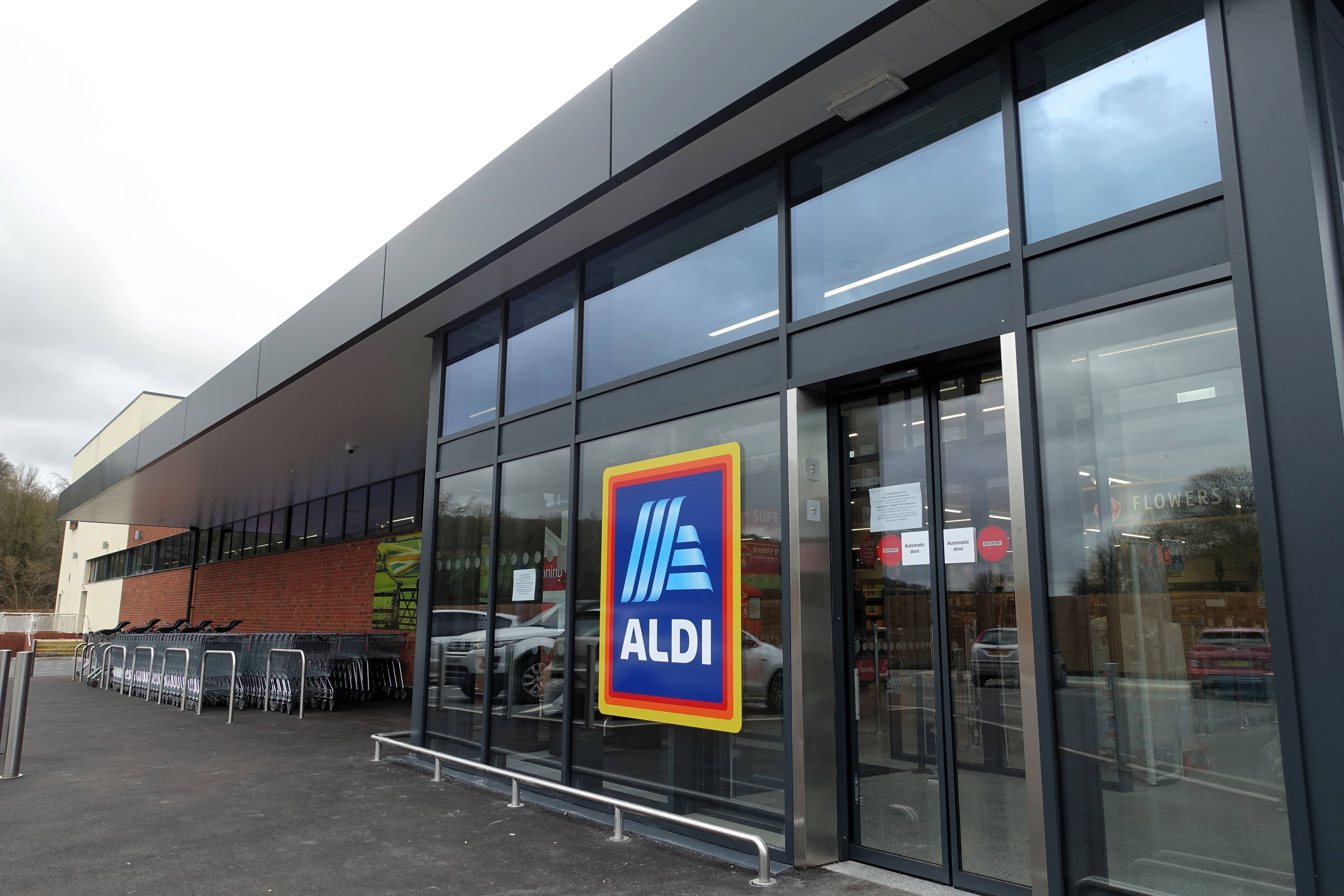Aldi shoppers can’t miss these $13 layered trees for a magical ...