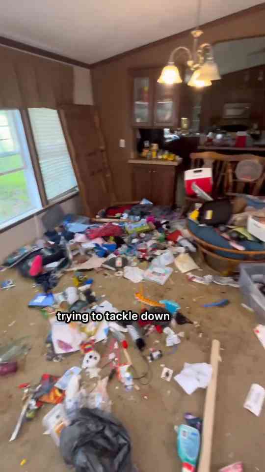 Unexpected discoveries during a professional cleanup